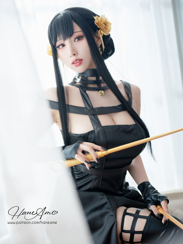 [HaneAme雨波] 间谍过家家 约尔 [29P/167MB]